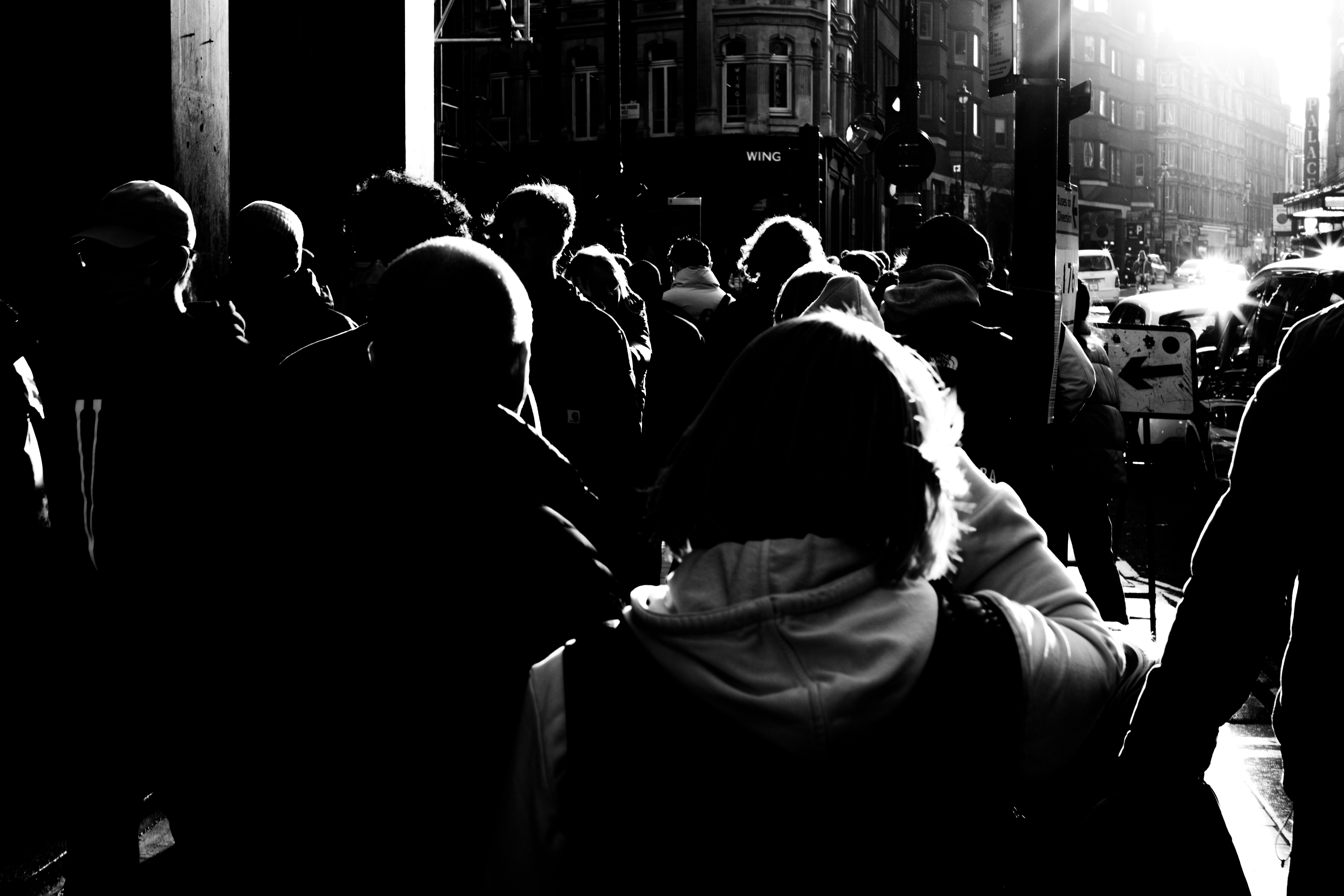 Quiet Survival in a Loud System